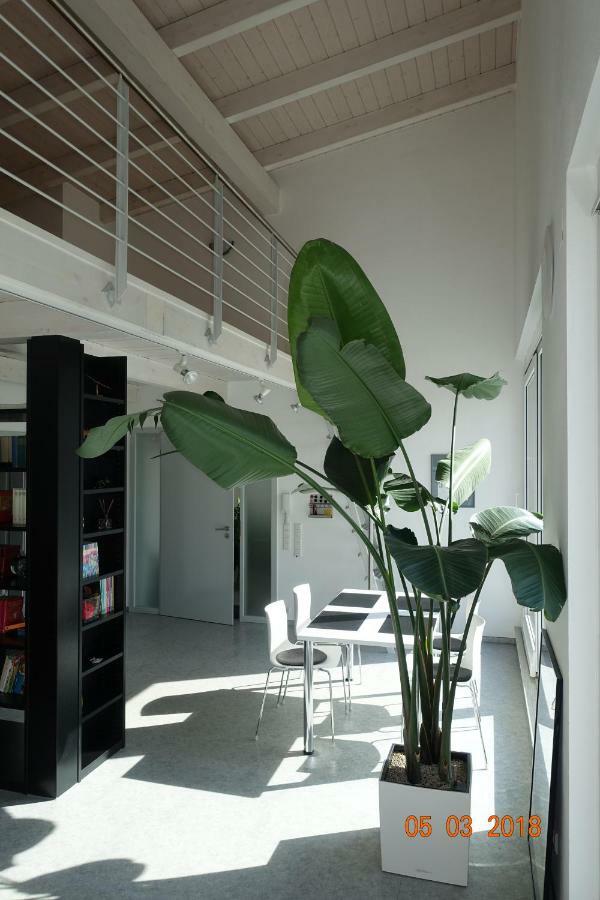 Ferienwohnung Himmlingen 阿伦 外观 照片